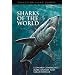 Sharks of the World (Princeton Field Guides)