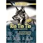 Rin Tin Tin: Double Feature, Vol. 3