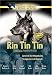 Rin Tin Tin: Double Feature, Vol. 3