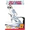 Everything Bleach