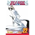 Bleach, Volume 22