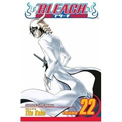 Bleach: Volume 22 (Bleach): v. 22