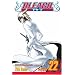 Bleach: Volume 22 (Bleach): v. 22