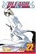 Bleach: Volume 22 (Bleach): v. 22