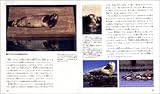 アゴヒゲアザラシ タマちゃんのナゾ (Nature Discovery Books)-