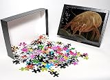 Photo Jigsaw Puzzle of LRDS-36 Dust Mite from Ardea Wildlife Pets