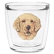 Golden Retriever 12 oz Double-Old-Fashioned Insulated Beverage Tumbler, Clear