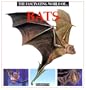 The Fascinating World of Bats