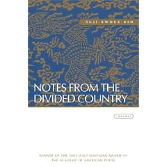 Notes from the Divided Country