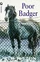 Poor Badger