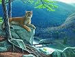 Mountain Lion Tracks 500pc Jigsaw Puzzle by Dan Christ