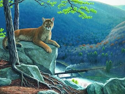 Mountain Lion Tracks 500pc Jigsaw Puzzle by Dan Christ
