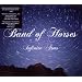 BAND OF HORSES-INFINITE ARMS