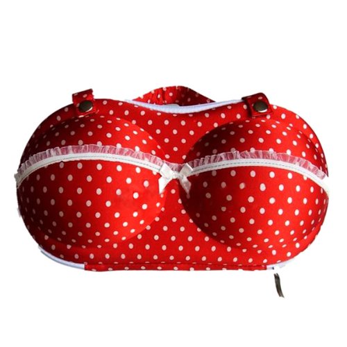 Neewer® Protect Bra Underwear Lingerie Case Storage Travel Organizer Bag (Red Dot with String Bag)