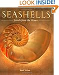 Seashells: Jewels from the Ocean