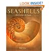 Seashells: Jewels from the Ocean