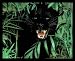 Animal Panther Scary Black Leopard Cat Framed Art Poster Print - 20" X 16"