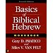 Basics of Biblical Hebrew Workbook