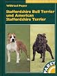 Staffordshire Bull Terrier und American Staffordshire Terrier