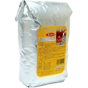 石垣食品 フジミネラル麦茶 業務用 51パック入り
