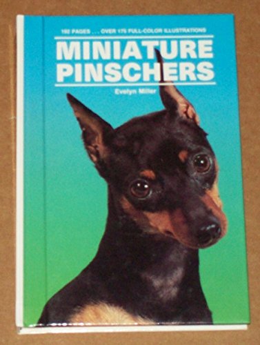 miniature pinschers