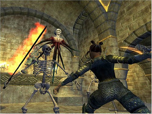 Cover image : EverQuest II DVD-ROM (輸入版)