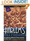 Harlem's Hell Fighters: The African-American 369th Infantry in World War I