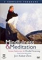Mindfulness & Meditation - Stress Reduction / Mindful Parenting