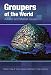 Groupers of the World: A Field and Market Guide