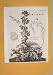 Botany True Rhubarb Fine Art Antique Old Print C1790