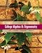 College Algebra and Trigonometry (5th Edition)