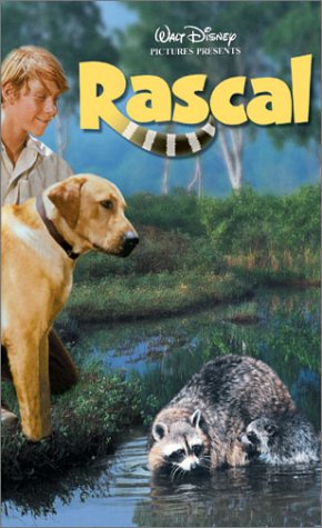 Rascal by Pamela Anderson