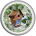 Taylor Precision Products 13" Patio Dial Birdhouses 90007-62