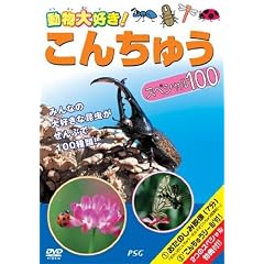 ���񂿂イ�X�y�V����100 [DVD]