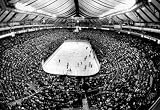 Professionally Framed St Louis Blues Ice Hockey Arena Archival Photo Sports Poster - 13x19 with RichAndFramous Black Wood Frame
