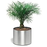 Blomus 66850 Greens Round Stainless Steel Planter in Brushed