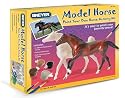 Model Horse Paint Your Own Horse Activity Kit