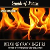 Sounds of Nature for Deep Sleep and Relaxation Relaxing Crackling Fire