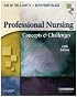 Professional Nursing: Concepts & Challenges (Chitty, Professional Nursing; Concepts and Challenges)