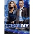 CSI: NY - Season 2.1 (3 DVDs)