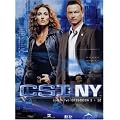 CSI: NY - Season 2.1 (3 DVDs)