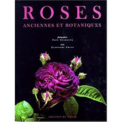 Roses anciennes et botaniques