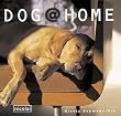 Dog at Home