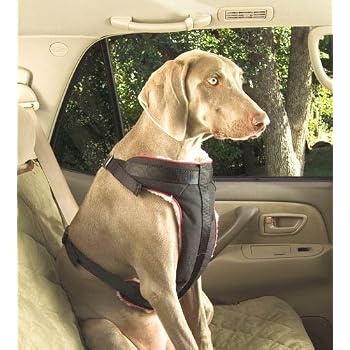 Set A Shopping Price Drop Alert For Solvit Pet Vehicle Safety Harness, Extra-Large