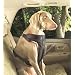 Solvit Pet Vehicle Safety Harness, Extra-Large