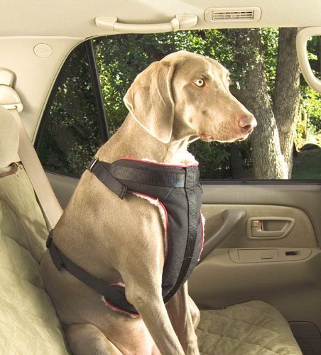 Solvit Pet Vehicle Safety Harness, Extra-Large 