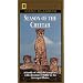 National Geographic's Season of the Cheetah [VHS]