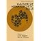 Angiogenesis, Cancer Stem Cell Culture Assays