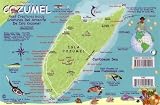 Franko's Cozumel Reef Creatures Guide