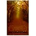 A Closer Walk With God